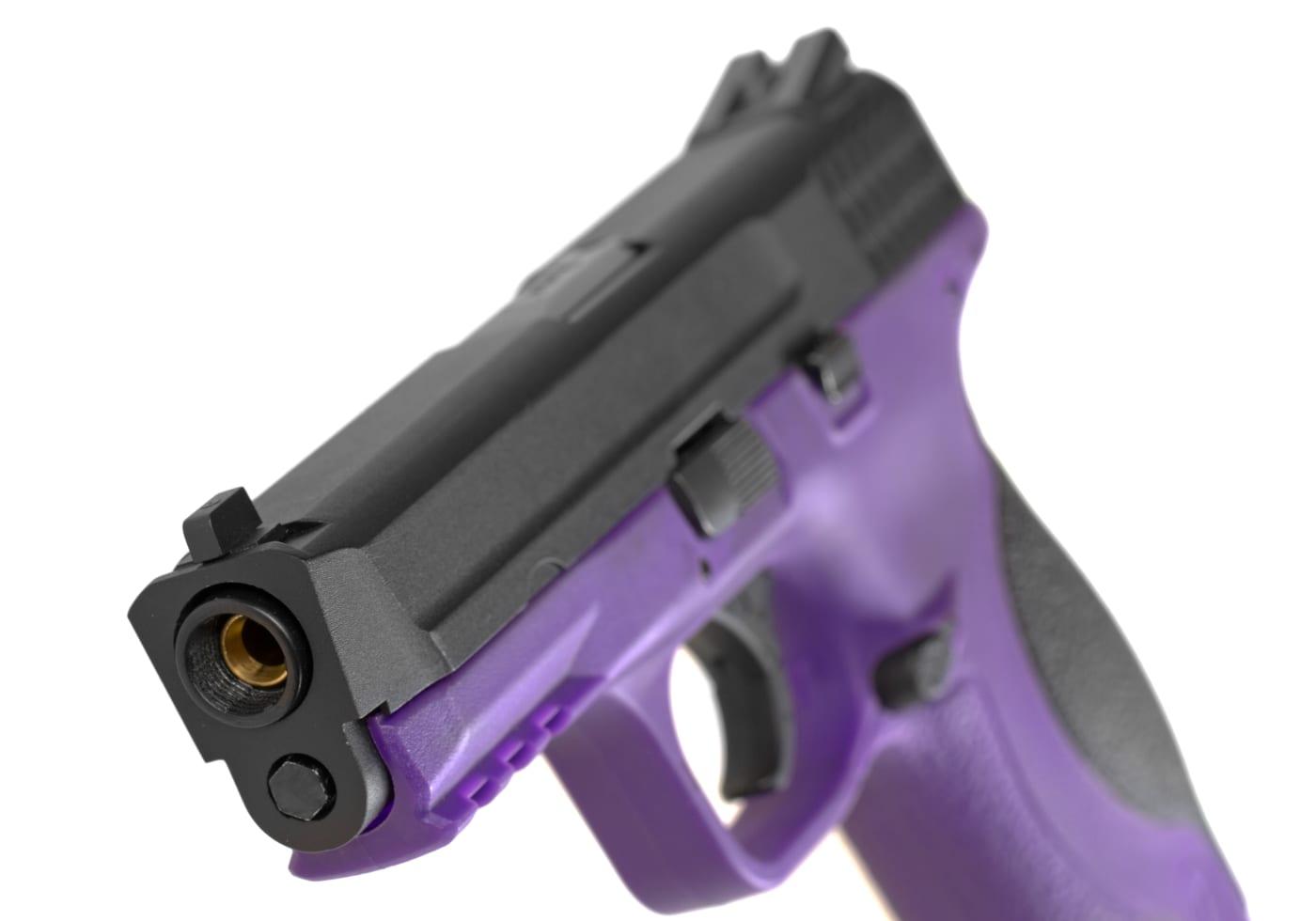 WE Big Bird Purple Frame Black Slide GBB