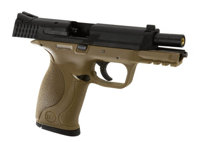 WE Big Bird Tan Frame Black Slide GBB