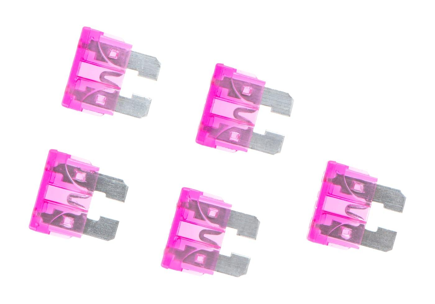 Nimrod Normal Airsoft AEG Type Fuse 35A 5pcs Purple