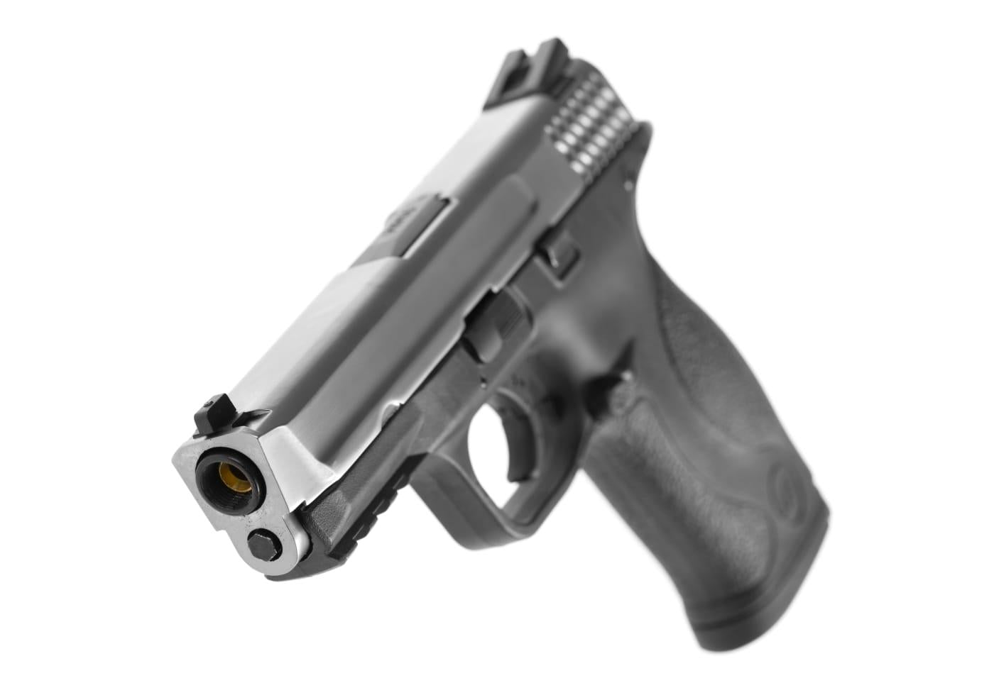 WE Big Bird Stainless Steel Version GBB